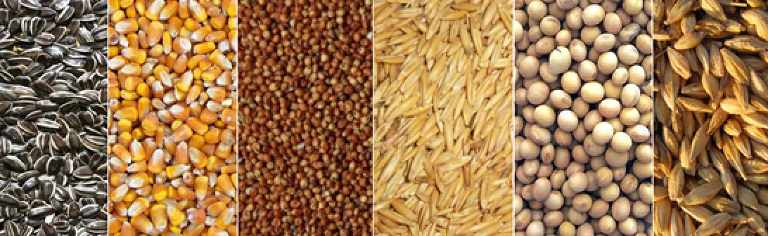 Registro de alimentos importados